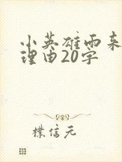 小英雄雨来推荐理由20字