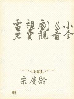 电视剧《小舅》免费观看全集高清