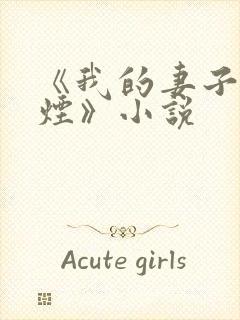 《我的妻子柳如烟》小说