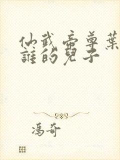 仙武帝尊叶辰是谁的儿子