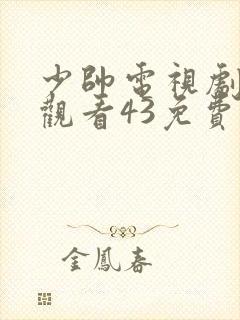 少帅电视剧全集观看43免费高清