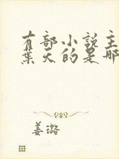 有部小说主角叫叶天的是哪一部小说