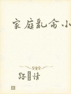 家庭乱仑小说封面