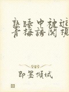 熟睡中被进了H青梅诱哄视频