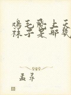 鸡毛飞上天推销袜子是哪几