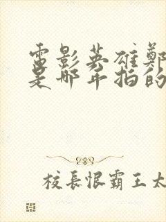 电影英雄郑成功是哪年拍的封面