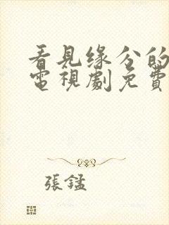 看见缘分的少女电视剧免费观看高清