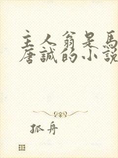 主人翁是马玉婷唐诚的小说封面