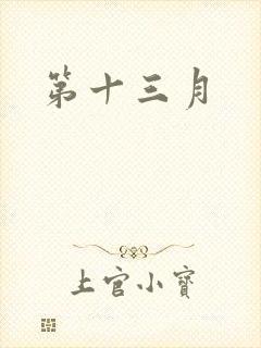 第十三月封面