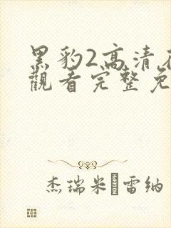 黑豹2高清在线观看完整免费版