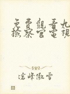 免费观看九部的检察官电视剧