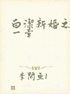 白洁新婚之夜第一章
