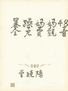 暴躁妈妈48集全免费观看电视剧