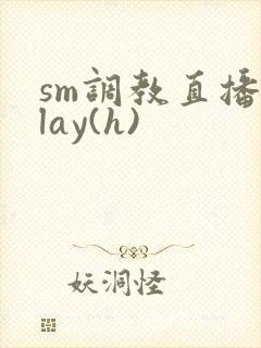 sm调教直播play(h)
