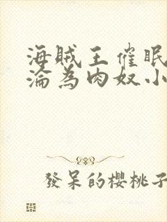 海贼王催眠调教沦为肉奴小说