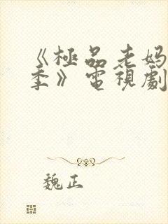 《极品老妈第一季》电视剧