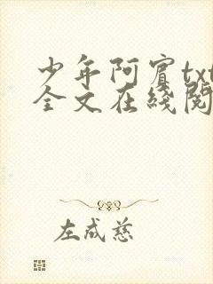 少年阿宾txt全文在线阅读