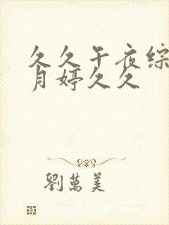 久久午夜综合五月婷久久