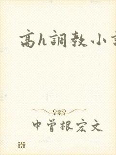 高h调教小说封面