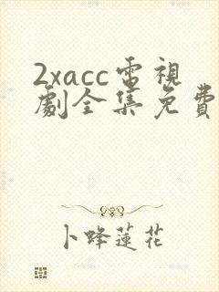 2xacc电视剧全集免费观看
