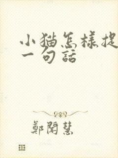 小猫怎样捉老鼠一句话