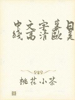 中文字幕日韩在线高清欧美