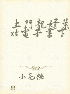 上门龙婿叶辰txt电子书下载