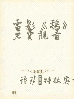 电影《鹬》国语免费观看