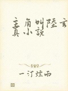 主角叫陆玄的修真小说