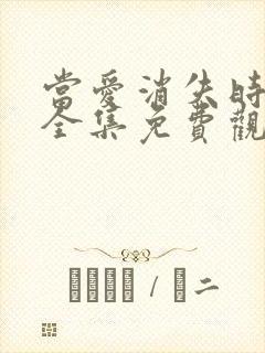 当爱消失时短剧全集免费观看封面