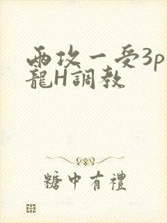 两攻一受3p双龙H调教