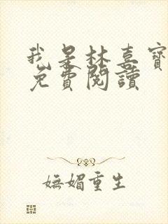 我是林喜宝小说免费阅读封面