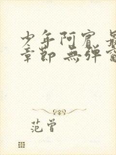 少年阿宾 最新章节 无弹窗 笔趣阁封面