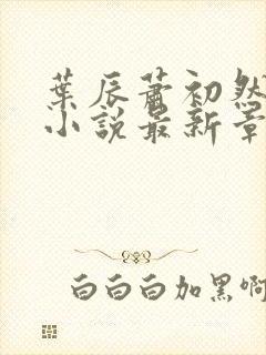 叶辰萧初然结局小说最新章节