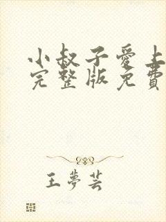 小叔子爱上嫂嫂完整版免费观看电影封面