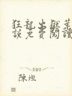 狂龙出狱叶风小说免费阅读全文