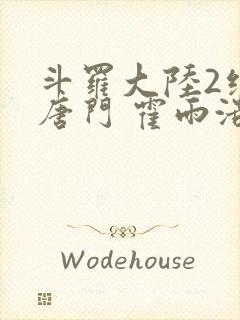 斗罗大陆2绝世唐门 霍雨浩