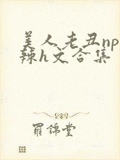 美人老丑np高辣h文合集封面
