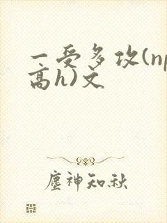 一受多攻(np高h)文