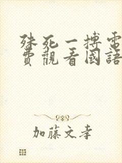 殊死一搏电影免费观看国语