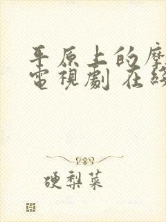 平原上的摩西 电视剧 在线观看