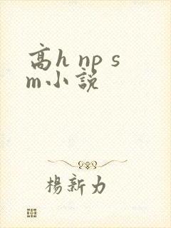 高h np sm小说