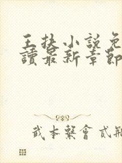 王扶小说免费阅读最新章节无弹窗封面