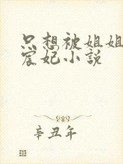 只想被姐姐惩罚宸妃小说封面