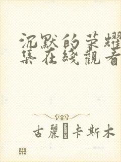 沉默的荣耀第五集在线观看