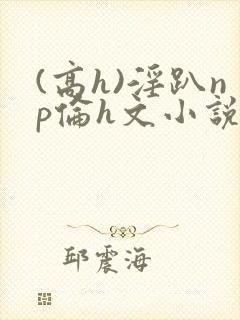 (高h)淫趴np伦h文小说