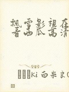 飘雪影视在线观看西瓜高清免费版