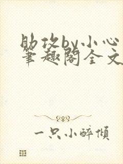 助攻by小心点笔趣阁全文免费阅读