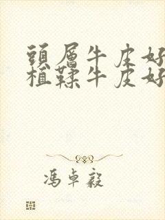 头层牛皮好还是植鞣牛皮好