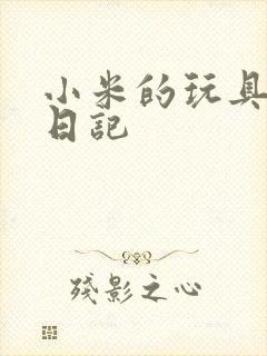 小米的玩具羞辱日记